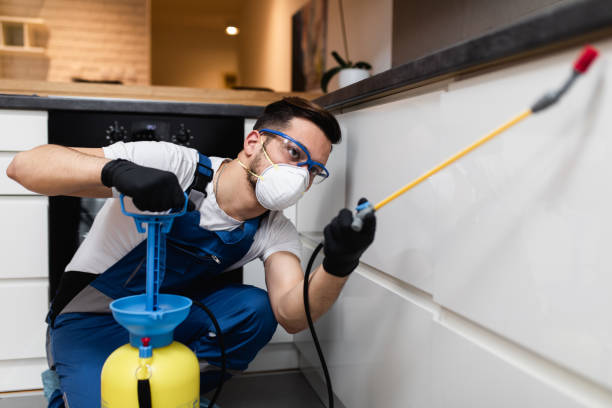Best Affordable Pest Control Services  in Chelsea Cove, NY