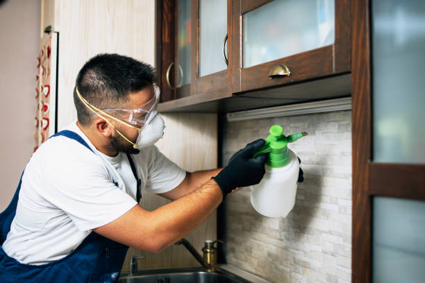 Best Pest Prevention Services  in Chelsea Cove, NY