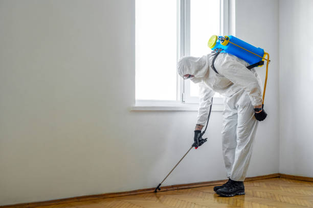 Best Mosquito Control Services  in Chelsea Cove, NY