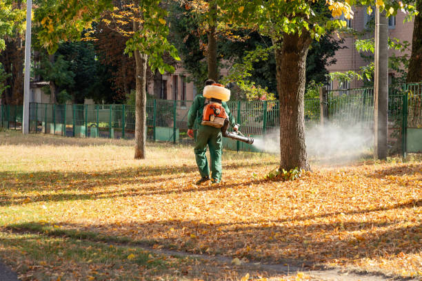 Best Cockroach Control Services  in Chelsea Cove, NY