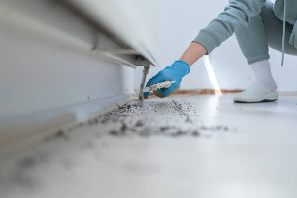Best Commercial Pest Control Services  in Chelsea Cove, NY